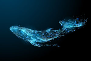 Digital Blue Whale