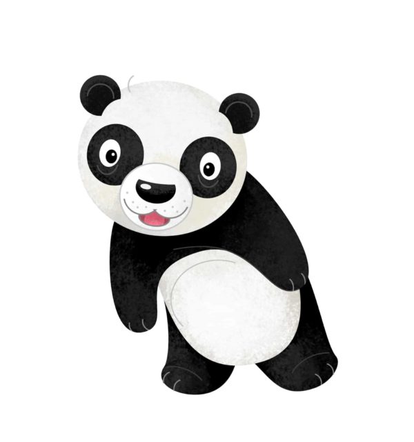 Panda Cartoon 1