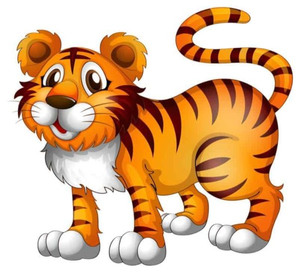 Tiger Cartoon 1