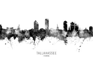 Tallahassee Florida Skyline unique digital wall art canvas framed prints