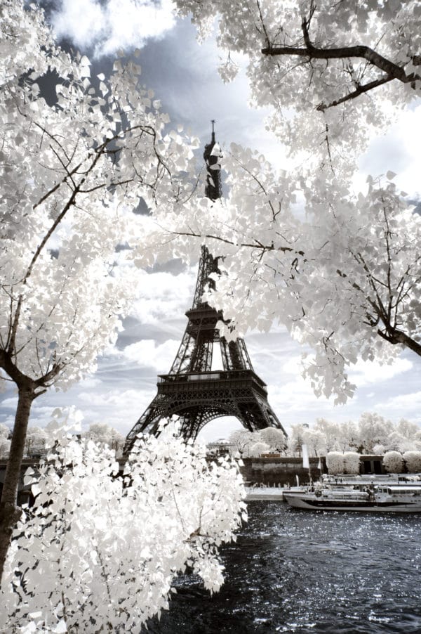 Eiffel Tower landscape photography canvas and framed wall art