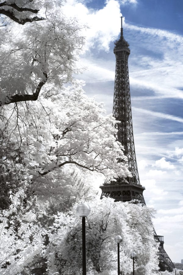 White Eiffel landscape photography canvas and framed wall art
