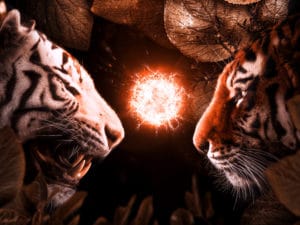 Beasts Fight surreal digital wall art prints