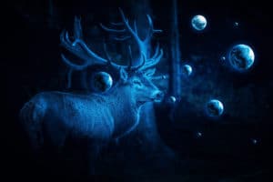 Deer Cosmos surreal digital wall art prints