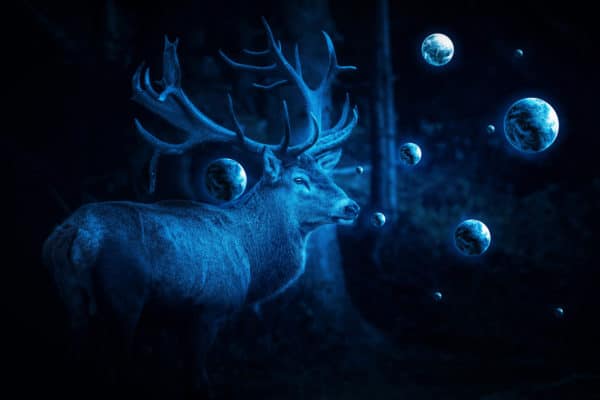 Deer Cosmos surreal digital wall art prints
