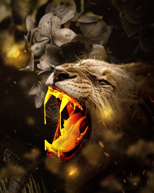 Gold Lion surreal digital wall art prints