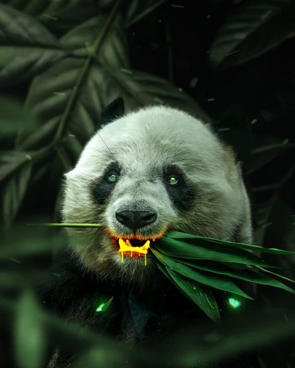 Gold Panda surreal digital wall art prints