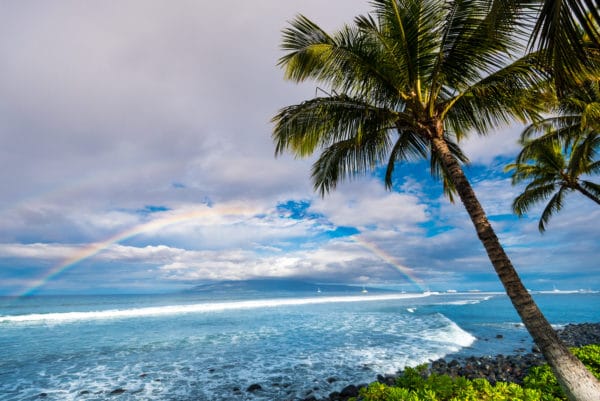 Hawaiian Landscape landscape photography canvas and framed wall art