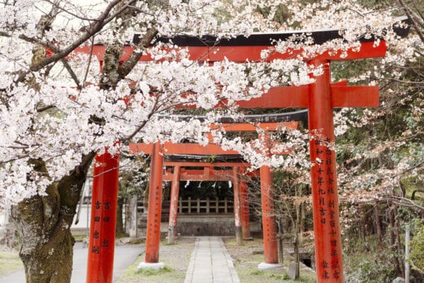 Yoshida Shrine Torii landscape photography canvas and framed wall art