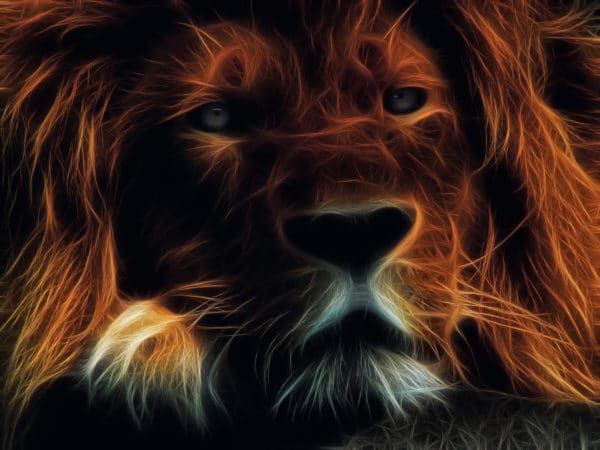 Lighting Lion surreal digital wall art prints