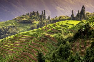Longsheng Rice Terraces landscape photography canvas and framed wall art
