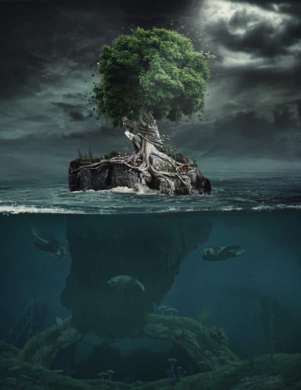 Magic Tree surreal digital wall art prints