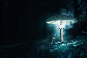 Mushrooms surreal digital wall art prints