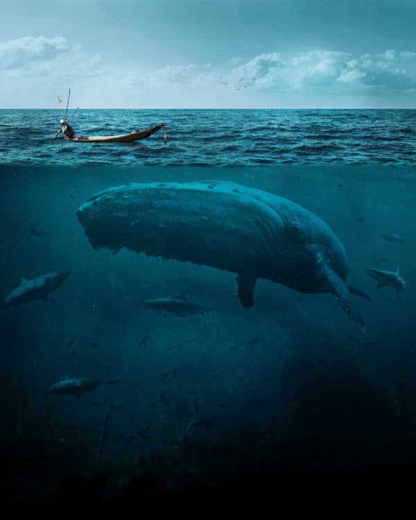 The Big Whale surreal digital wall art prints