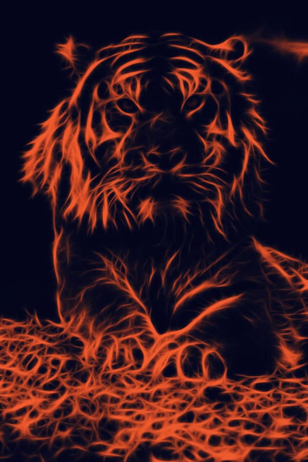 Tiger Glowing surreal digital wall art prints