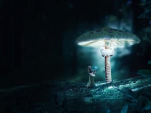 Under Mushroom surreal digital wall art prints