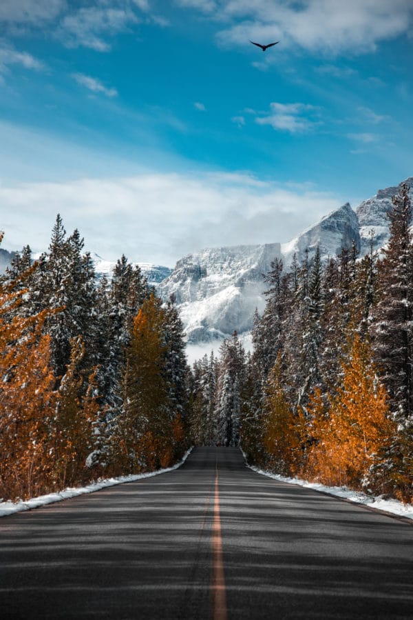 Winter Road landscape photography canvas and framed wall art
